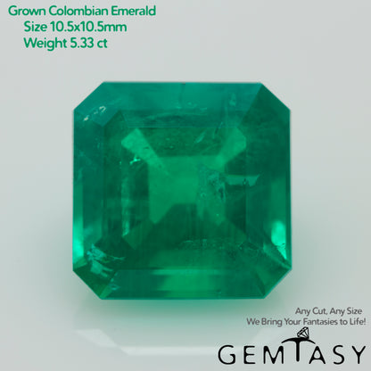 Cut stone - Emerald Colombian hydrothermal lab grown, facet Octagon 10.5x10.5mm 4.73ct