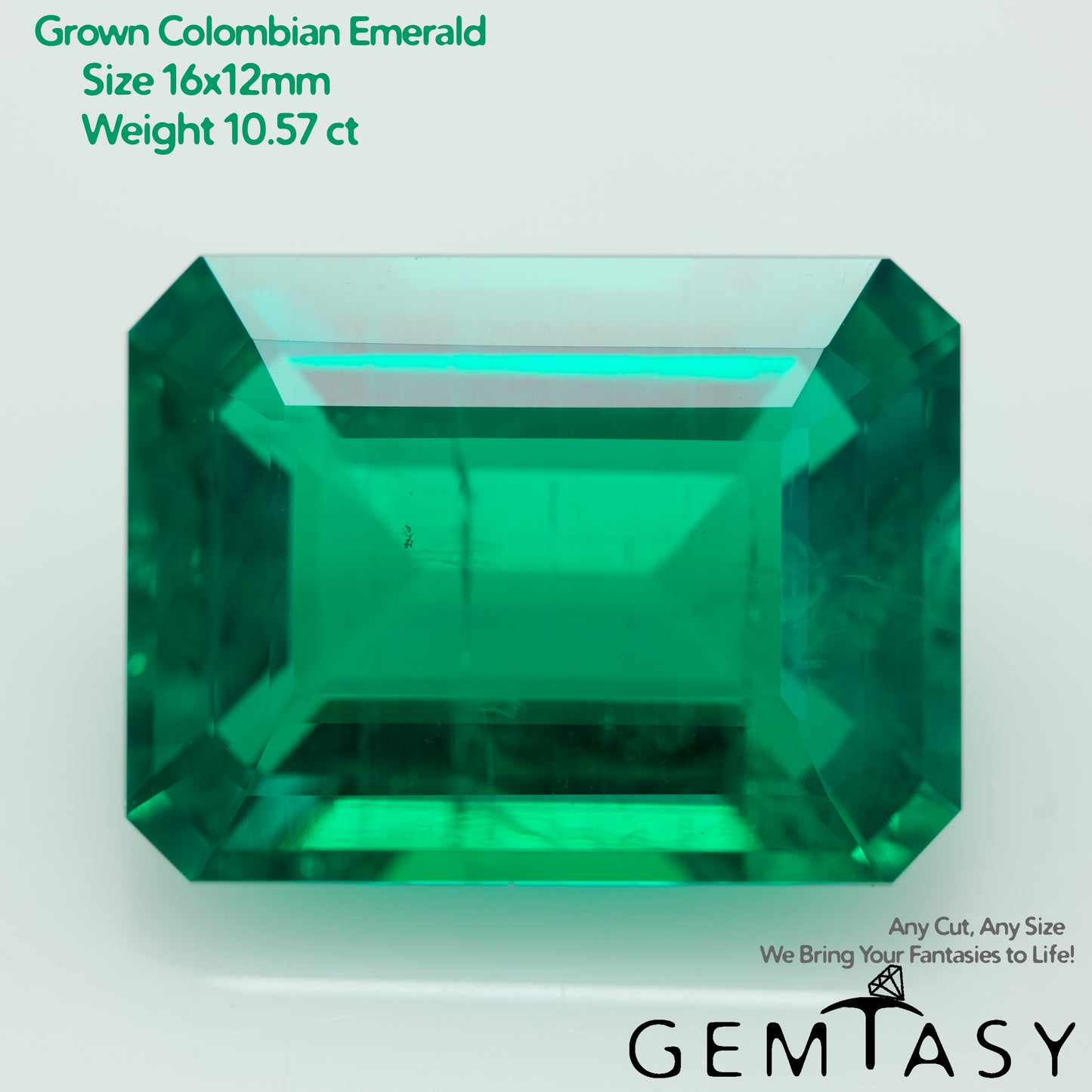 Cut stone - Emerald Colombian hydrothermal lab grown, facet Octagon 16x12mm 10.57ct