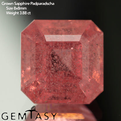 Pierre taillée - Saphir Padparadscha Czochralski (Tiré) cultivé en laboratoire, facette Octogone 8x8mm 3,88ct