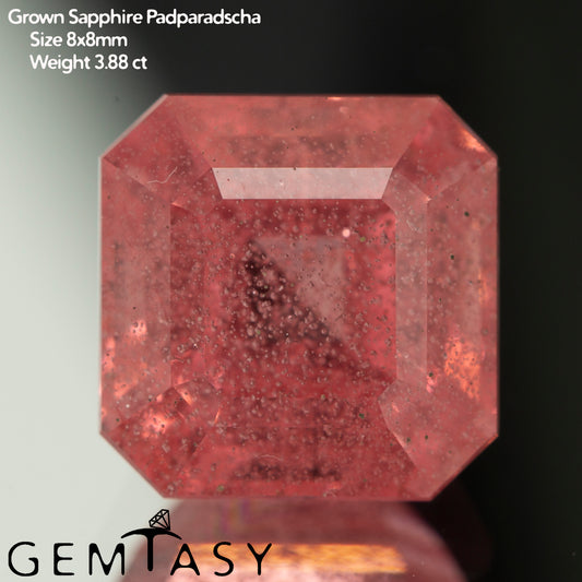 Pierre taillée - Saphir Padparadscha Czochralski (Tiré) cultivé en laboratoire, facette Octogone 8x8mm 3,88ct