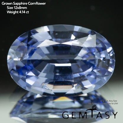 Cut stone - Sapphire Cornflower Blue Czochralski (Pulled) lab grown, facet Oval 12x8mm 4.14-4.81ct