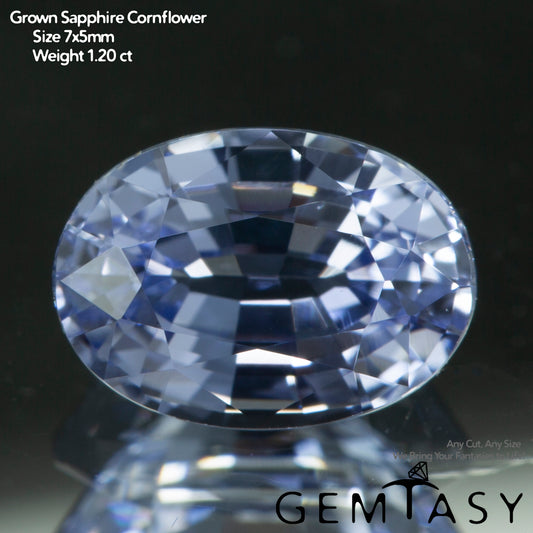 Cut stone - Sapphire Cornflower Blue Czochralski (Pulled) lab grown, facet Oval 7x5mm 1.02-1.25ct