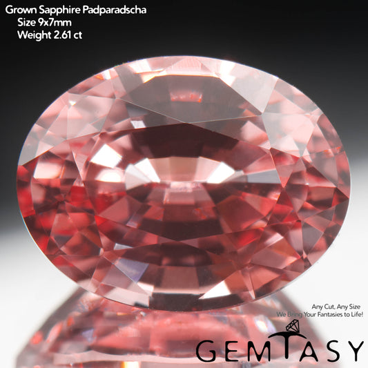 Piedra tallada - Zafiro Padparadscha Czochralski (Extraído) cultivado en laboratorio, facetado Ovalada 9x7mm 2,48-2,79 ct