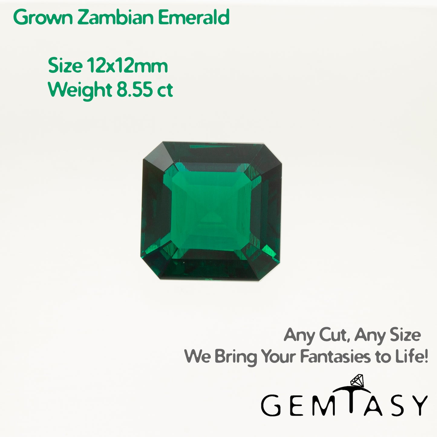 Cut stone - Emerald Zambian hydrothermal lab grown, facet Octagon 12x12mm 8.55ct