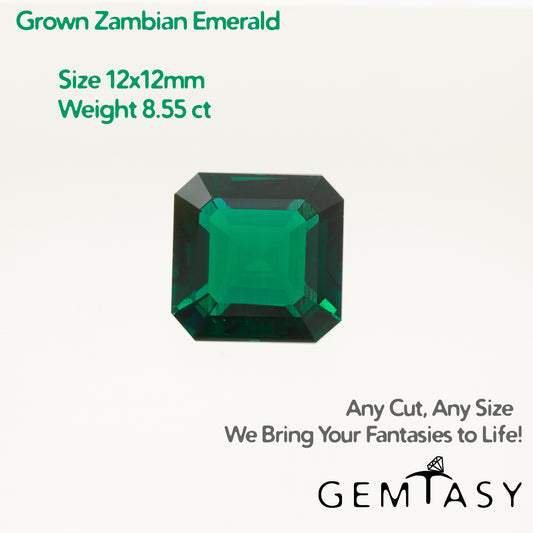 Cut stone - Emerald Zambian hydrothermal lab grown, facet Octagon 12x12mm 8.55ct