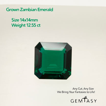 Cut stone - Emerald Zambian hydrothermal lab grown, facet Octagon 14x14mm 12.55ct