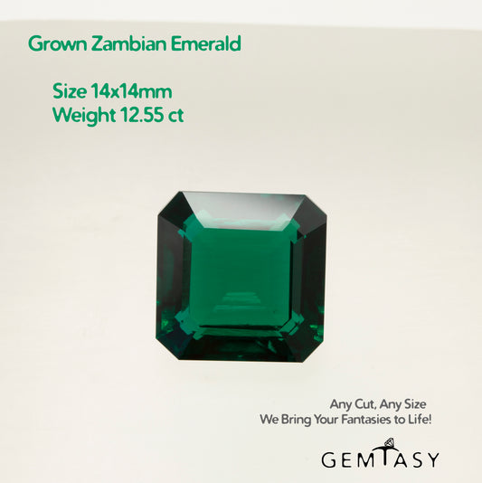 Cut stone - Emerald Zambian hydrothermal lab grown, facet Octagon 14x14mm 12.55ct