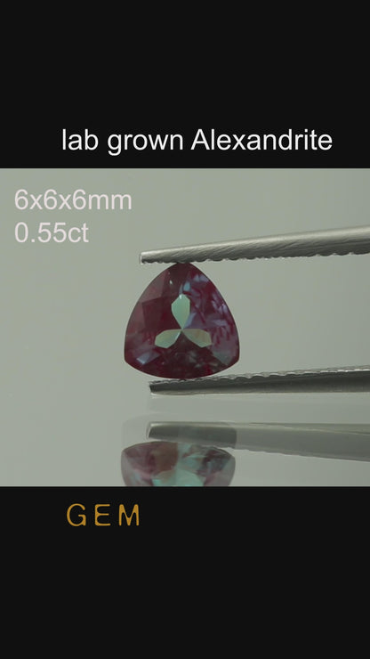 Pierre taillée - Alexandrite Czochralski (Tirée) cultivée en laboratoire, facette Trilliant 6x6x6mm 0,55ct