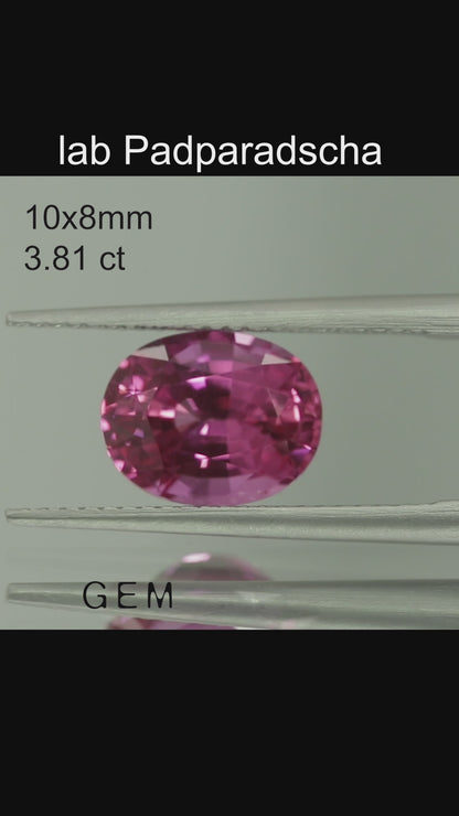 Cut stone - Sapphire Padparadscha Czochralski (Pulled) lab grown, facet Oval 10x8mm 3.44-3.81ct