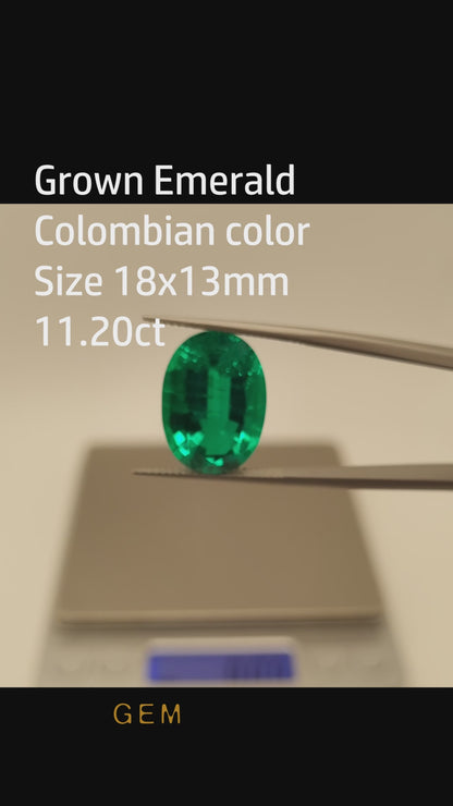 Piedra tallada - Esmeralda cultivada en laboratorio hidrotermal colombiano, facetada Ovalada 18x13mm 11.2ct