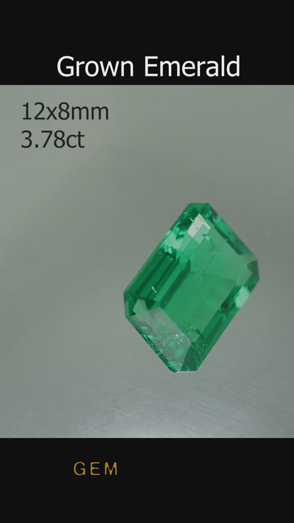 Piedra tallada - Esmeralda cultivada en laboratorio hidrotermal colombiano, faceta Octágono 12x8mm 3.7-4.0ct