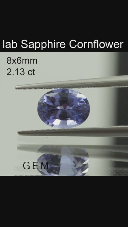 Cut stone - Sapphire Cornflower Blue Czochralski (Pulled) lab grown, facet Oval 8x6mm 1.51-1.66ct